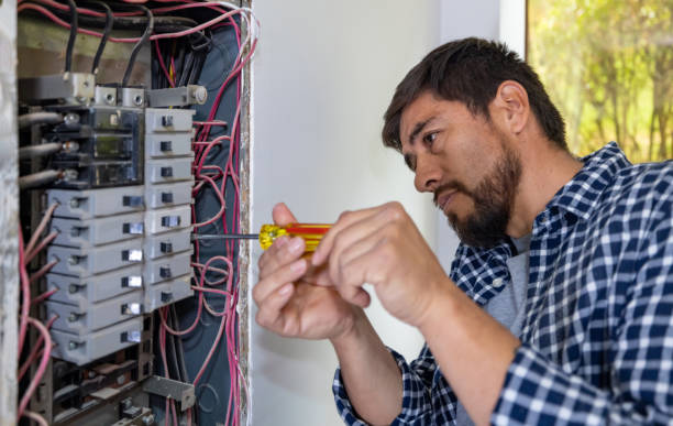 Best Electrician for Home Renovation  in Gibsonburg, OH